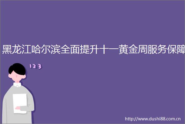 黑龙江哈尔滨全面提升十一黄金周服务保障