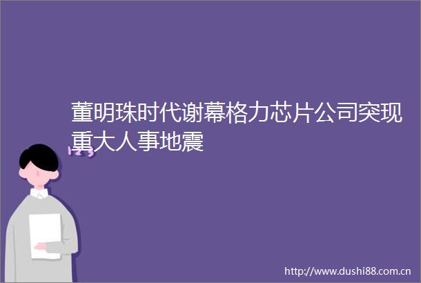 董明珠时代谢幕格力芯片公司突现重大人事地震