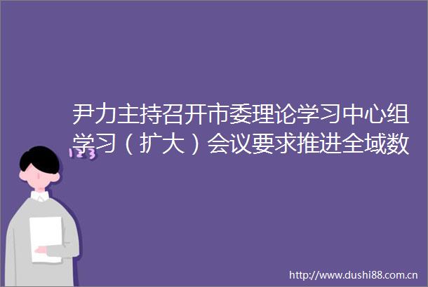 尹力主持召开市委理论学习中心组学习（扩大）会议要求推进全域数字化转型