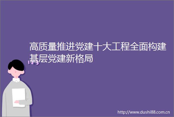 高质量推进党建十大工程全面构建基层党建新格局