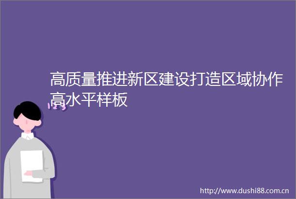 高质量推进新区建设打造区域协作高水平样板