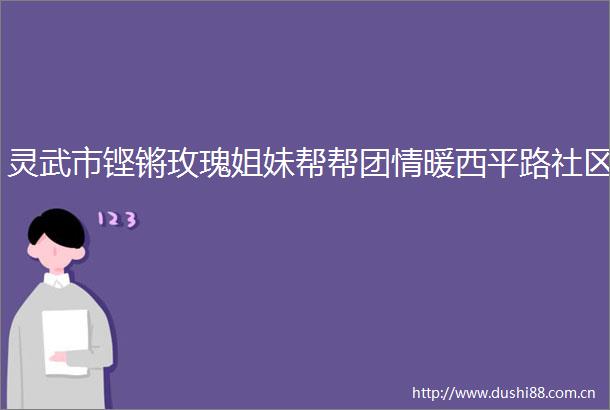 灵武市铿锵玫瑰姐妹帮帮团情暖西平路社区