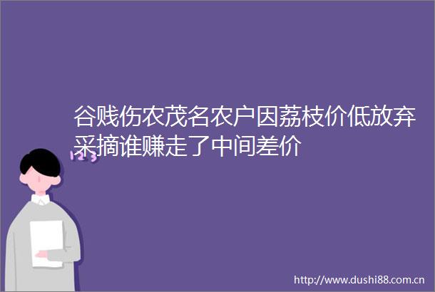 谷贱伤农茂名农户因荔枝价低放弃采摘谁赚走了中间差价