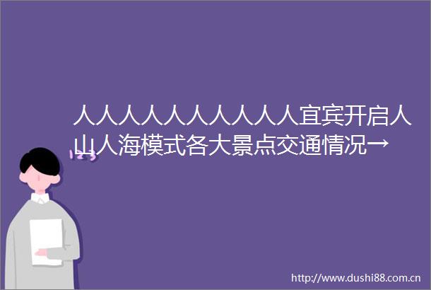 人人人人人人人人人人宜宾开启人山人海模式各大景点交通情况→