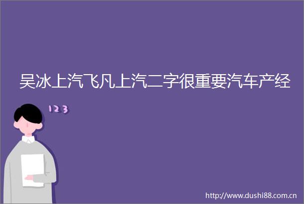 吴冰上汽飞凡上汽二字很重要汽车产经
