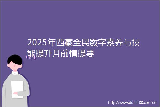 2025年西藏全民数字素养与技能提升月前情提要