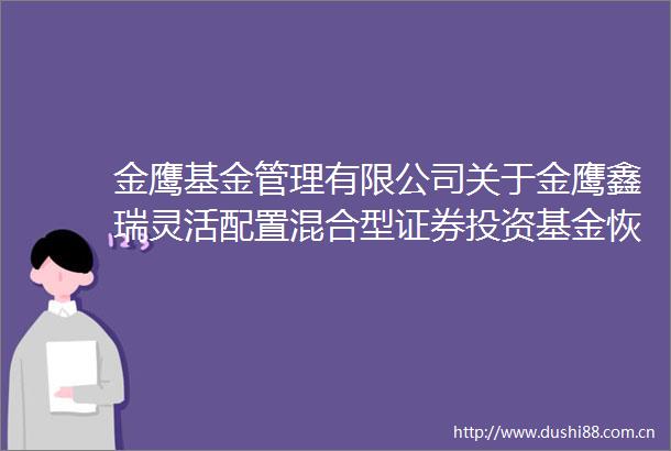 金鹰基金管理有限公司关于金鹰鑫瑞灵活配置混合型证券投资基金恢复大额申购（转换转入定期定额投资）公告