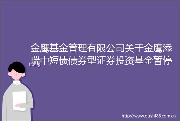 金鹰基金管理有限公司关于金鹰添瑞中短债债券型证券投资基金暂停机构客户大额申购（含转换转入定期定额投资）的公告