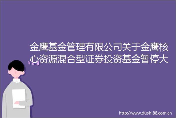 金鹰基金管理有限公司关于金鹰核心资源混合型证券投资基金暂停大额申购（含转换转入定期定额投资）公告