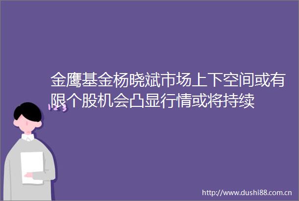 金鹰基金杨晓斌市场上下空间或有限个股机会凸显行情或将持续