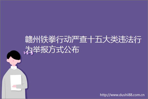 赣州铁拳行动严查十五大类行为方式公布