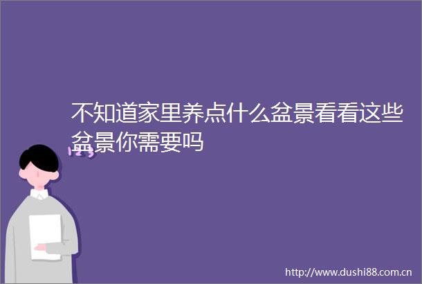 不知道家里养点什么盆景看看这些盆景你需要吗
