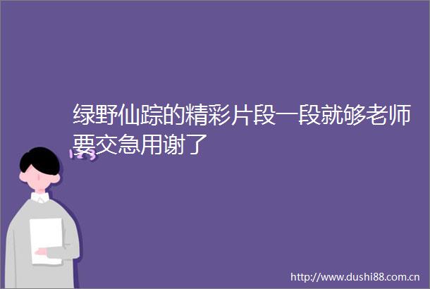 绿野仙踪的精彩片段一段就够老师要交急用谢了
