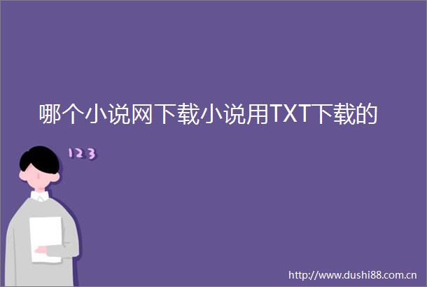 哪个小说网下载小说用TXT下载的