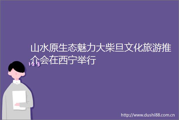 山水原生态魅力大柴旦文化旅游推介会在西宁举行