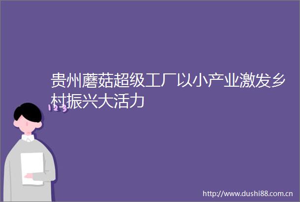 贵州蘑菇超级工厂以小产业激发乡村振兴大活力