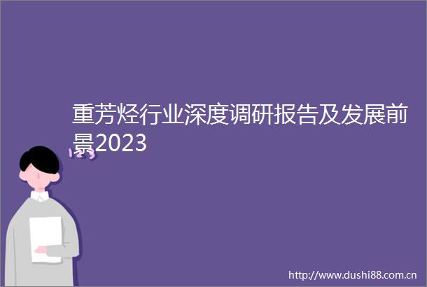 重芳烃行业深度调研报告及发展前景2023