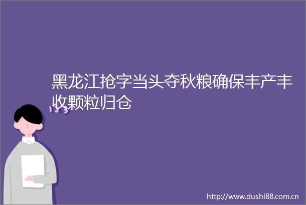 黑龙江抢字当头夺秋粮确保丰产丰收颗粒归仓
