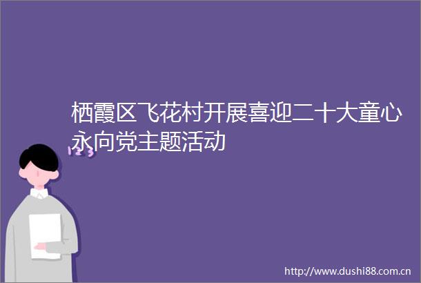 栖霞区飞花村开展喜迎二十大童心永向党主题活动