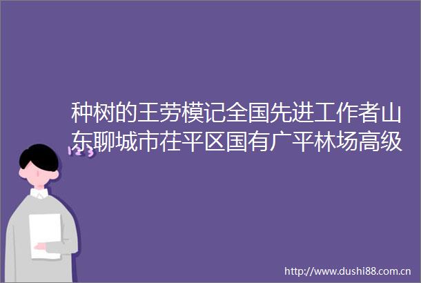 种树的王劳模记全国先进工作者山东聊城市茌平区国有广平林场高级工程师王吉贵