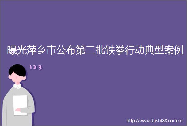 萍乡市公布第二批铁拳行动典型案例