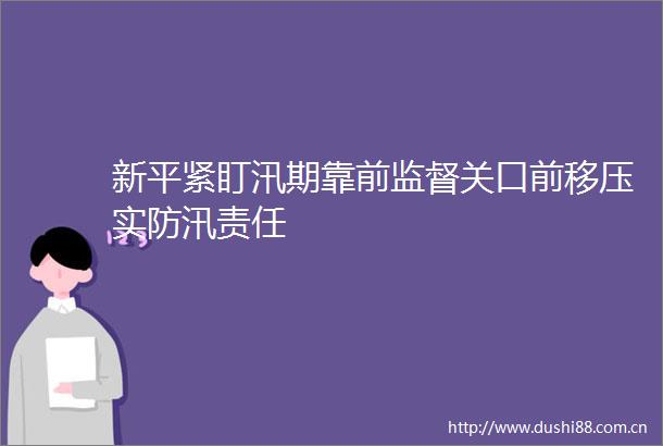 新平紧盯汛期靠前监督关口前移压实防汛责任
