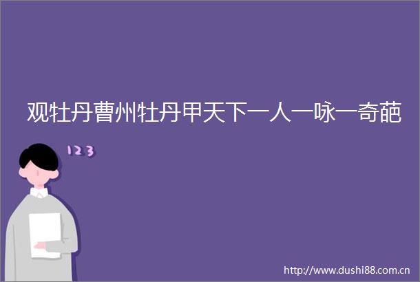 观牡丹曹州牡丹甲天下一人一咏一奇葩