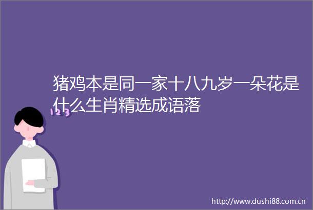 猪鸡本是同一家十八九岁一朵花是什么生肖精选成语落