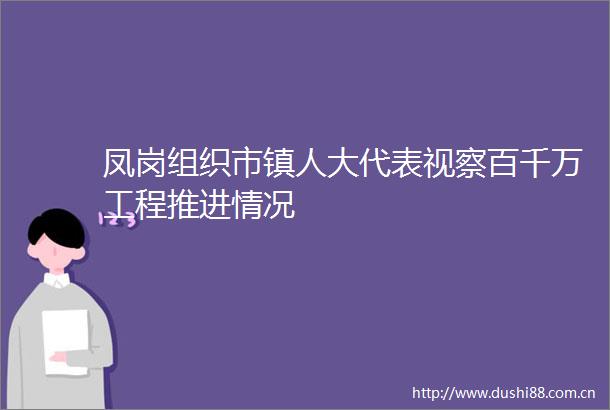 凤岗组织市镇人大代表视察百千万工程推进情况