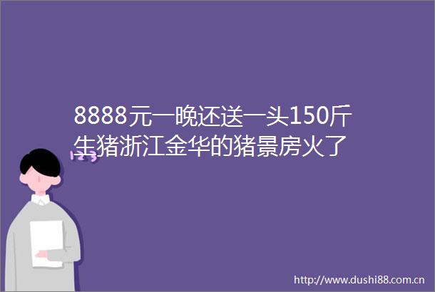 8888元一晚还送一头150斤生猪浙江金华的猪景房火了