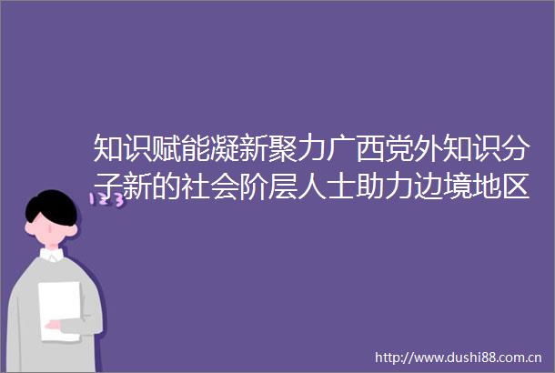 知识赋能凝新聚力广西党外知识分子新的社会阶层人士助力边境地区乡村振兴
