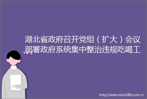 湖北省召开党组（扩大）会议部署系统集中整治吃喝工作
