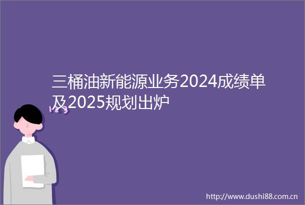 三桶油新能源业务2024成绩单及2025规划出炉