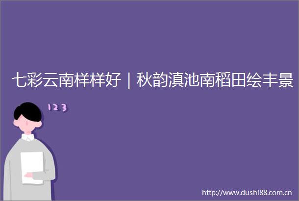 七彩云南样样好｜秋韵滇池南稻田绘丰景