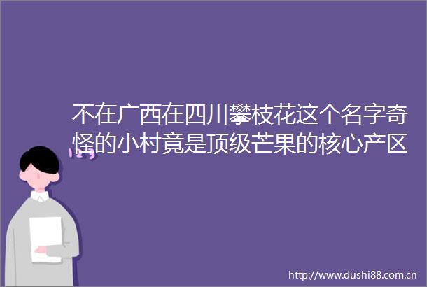 不在广西在四川攀枝花这个名字奇怪的小村竟是顶级芒果的核心产区太意外了