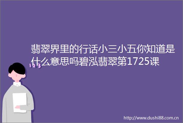 翡翠界里的行话小五你知道是什么意思吗碧泓翡翠第1725课