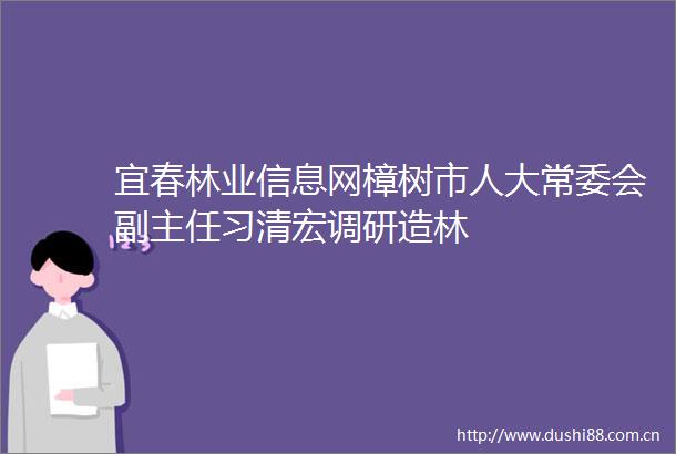 宜春林业信息网樟树市人大常委会副主任习清宏调研造林