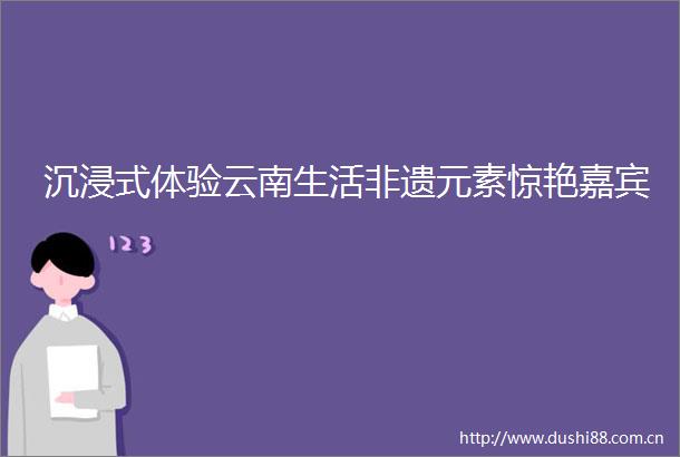 沉浸式体验云南生活非遗元素惊艳嘉宾