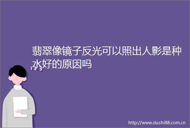 翡翠像镜子反光可以照出人影是种水好的原因吗