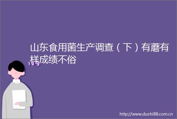 山东食用菌生产调查（下）有蘑有样成绩不俗