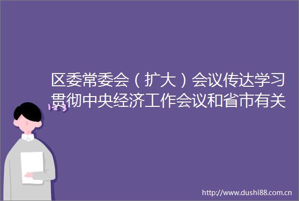 区委常委会（扩大）会议传达学习贯彻中央经济工作会议和省市有关会议精神