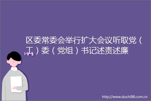 区委常委会举行扩大会议听取党（工）委（党组）书记述责述廉
