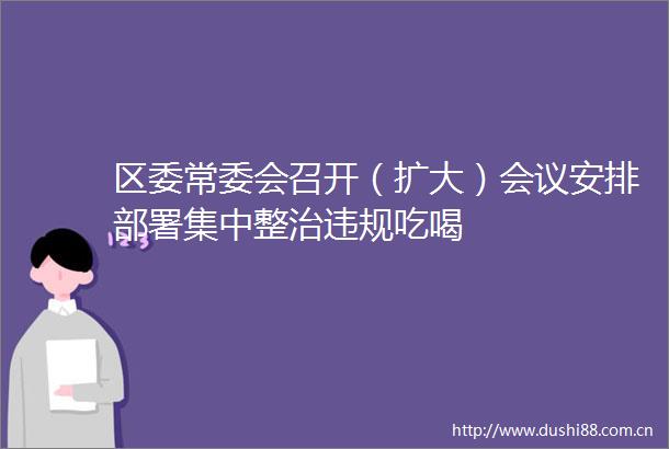 区委常委会召开（扩大）会议安排部署集中整治吃喝