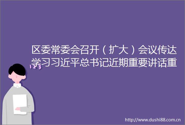 区委常委会召开（扩大）会议传达学习总书记近期重要讲话重要指示精神研究部署我区贯彻落实措施
