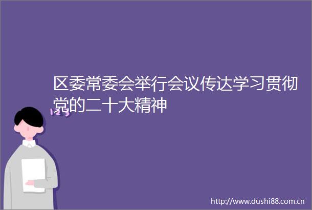 区委常委会举行会议传达学习贯彻党的二十大精神