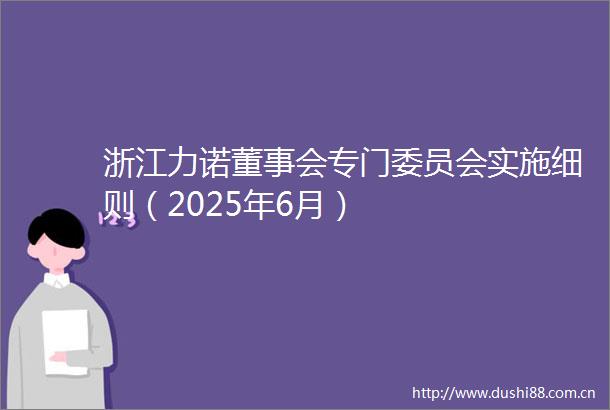 浙江力诺董事会专门委员会实施细则（2025年6月）