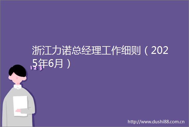 浙江力诺总经理工作细则（2025年6月）