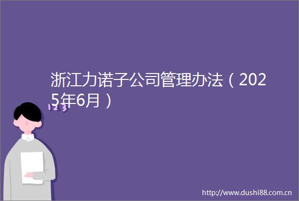 浙江力诺子公司管理办法（2025年6月）