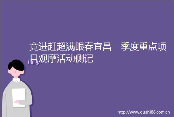 竞进赶超满眼春宜昌一季度重点项目观摩活动侧记