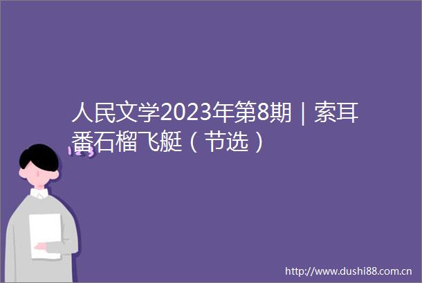 文学2023年第8期｜索耳番石榴飞艇（节选）
